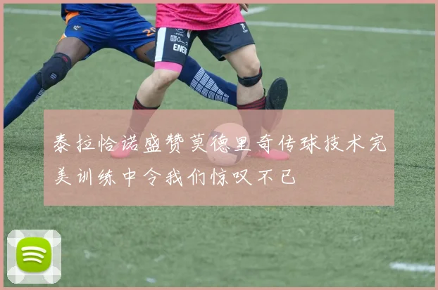 泰拉恰诺盛赞莫德里奇传球技术完美训练中令我们惊叹不已